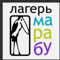 Умный лагерь Марабу