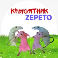 Крысятник ZEPETO