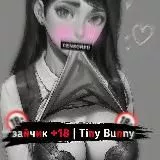 Tiny Bunny and Anime| Зайчик и аниме18+