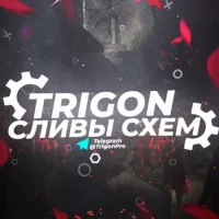 TRIGON | СЛИВЫ СХЕМ