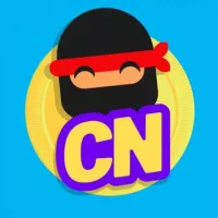 Canal Ninja