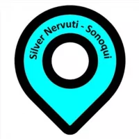 Silver Nervuti - Canale Ufficiale