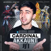 CARDINAL AKKAUNT