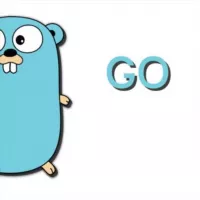 Golang