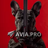 Avia.pro