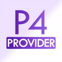 P4 Provider