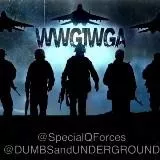 SpecialQForces