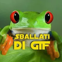 Sballati di GIF