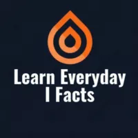 Learn Everyday | Facts