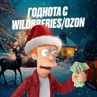 Годнота с WildBerries | Ozon