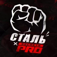 Сталь | PROsecrets MMA