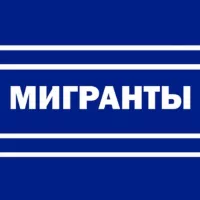 Мигранты — всё как есть