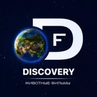 Discovery | Животные