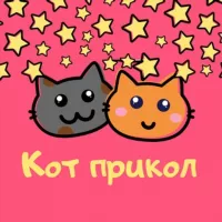 Кот Прикол