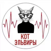 Кот Эльвиры