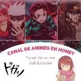 Animes sub español 🇯🇵 HONEY