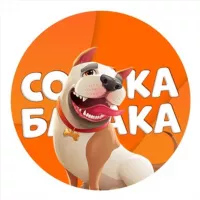 Собака бабака🐶