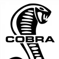 MMA Cobra