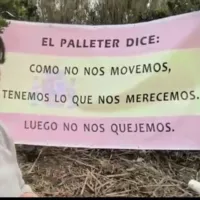 El Palleter