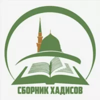 Сбᴏᴩниᴋ Хᴀдиᴄᴏʙ📚