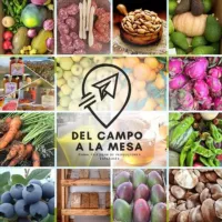 LISTADO VENDEDORES Del campo a la mesa