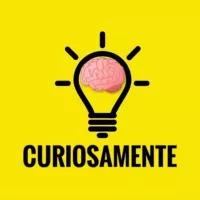 💡CURIOSAMENTE🧠