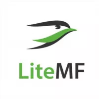 LiteMF | Выкуп и доставка из США, Европы, ОАЭ и Китая