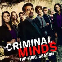 🇫🇷 ESPRITS CRIMINELS / CRIMINAL MINDS VF FRENCH SAISON 1 à 15 INTEGRALE