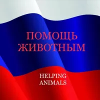 ПОМОЩЬ ЖИВОТНЫМ / HELPING ANIMALS