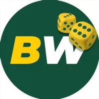 BETWINNER CASINO 🌐