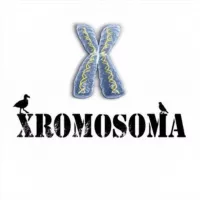 XROMOSOMA 2.0