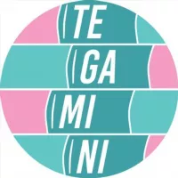 TEGAMINI