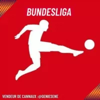 BUNDESLIGA ™️