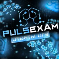 PULSEXAM | ОТВЕТЫ 2024