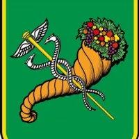 Харківська міська рада