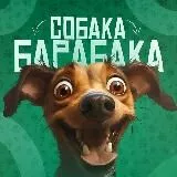 Собака барабака🐶