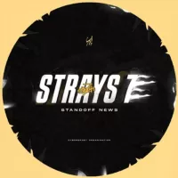 Strays News