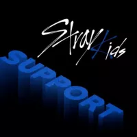 Support | Stray Kids