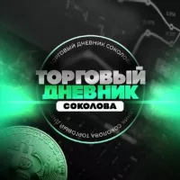 Торговый дневник Соколова