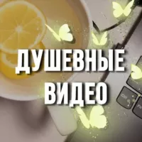 Душевные видео 🦋 Видео для сторис