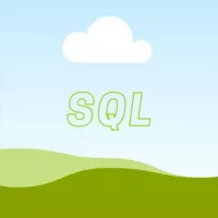 Senior SQL Developer