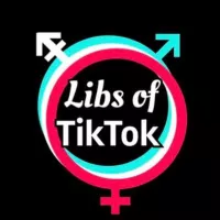 Libs of TikTok Fans