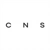 CNS — COINED IN STONE