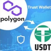 USDT （Polygon）Minería