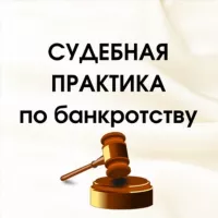 Судебная практика по банкротству