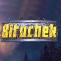 BitochekTeam