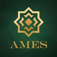 Це AMES: коментарі, оцінки, погляди