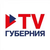 TV Губерния. Воронеж