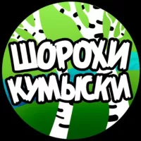 Шорохи Кумыски