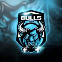 BullsBetTeam | Ставки на спорт